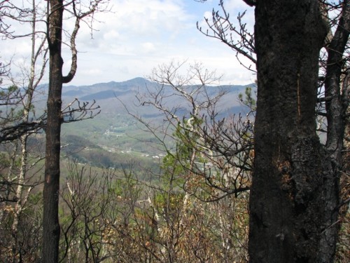 View from Pinnacle Ridge