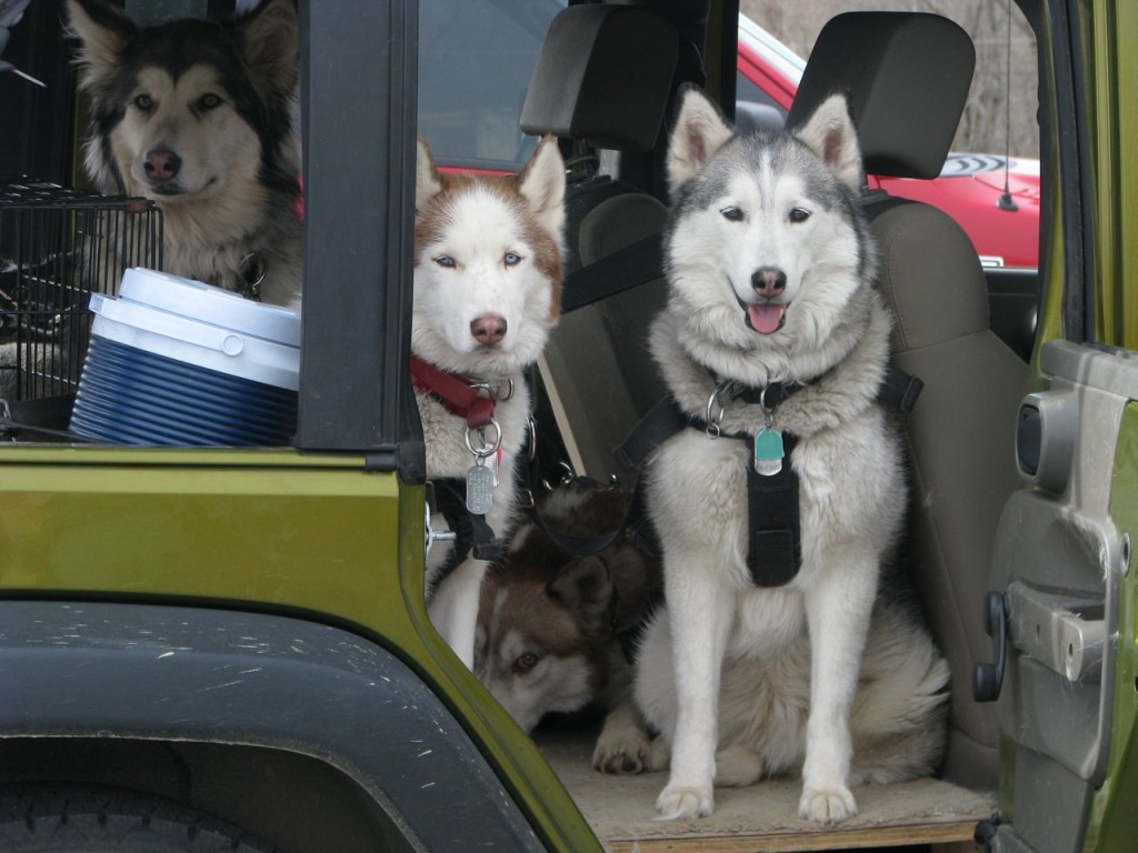 Hu-Dad - What about the most famous Iditarod song?