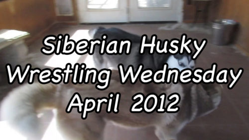Wrestling Wednesday April 2012