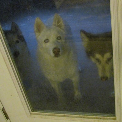 Can we come in?