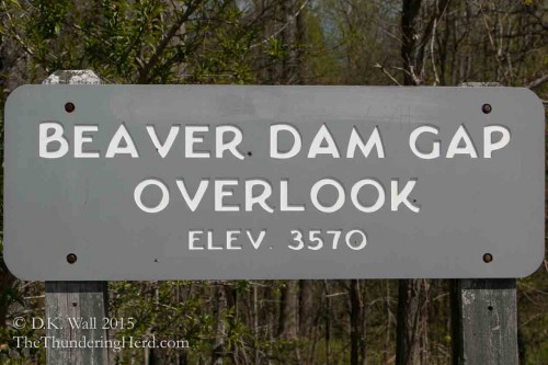 Beaver Dam Overlook