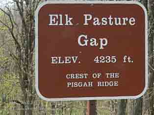 elk_pasture_gap