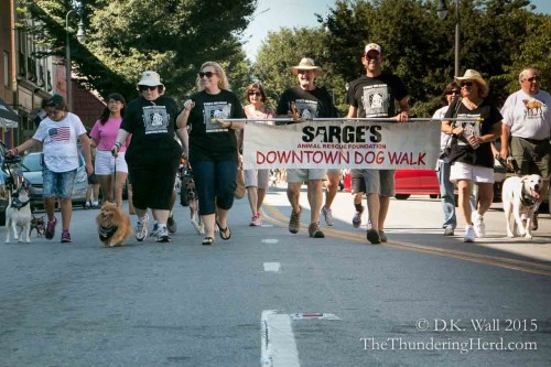 Sarge's Downtown Dog Walk 2015 hits Main Street