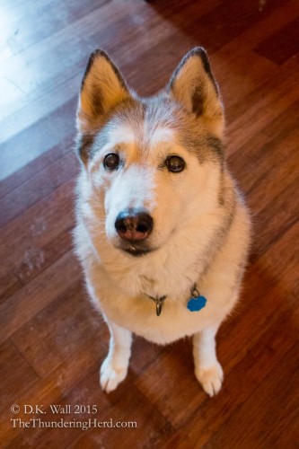 Let me get this right. You want us to stop tracking mud in the house?