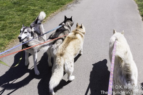 Some of us might struggle with normal walks.