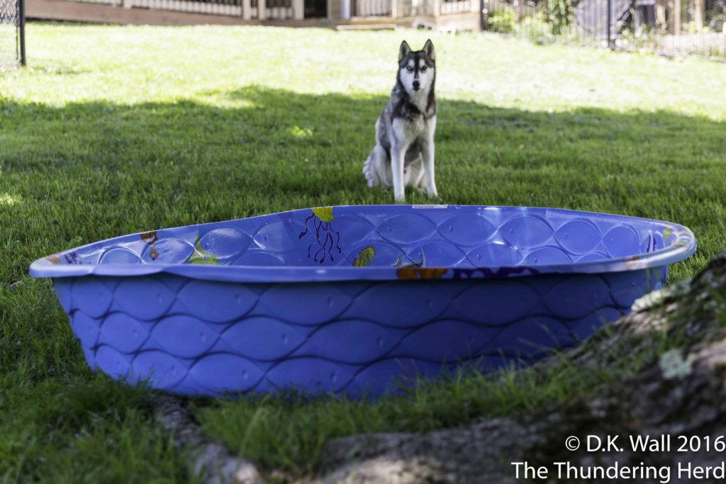 large wading pool