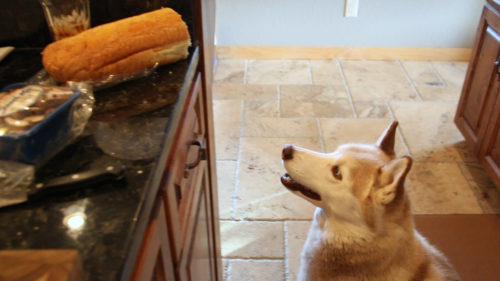 I think I should sample that bread, Hu-Dad. For freshness, you know.