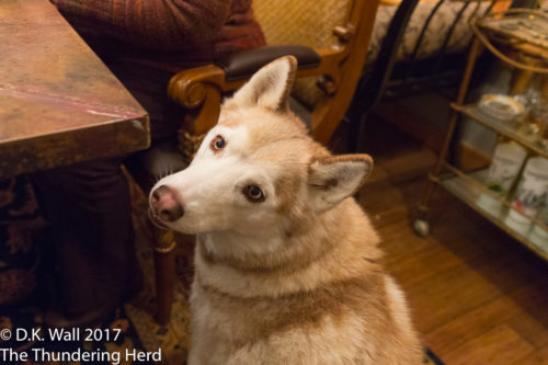 Just welcoming guests to our dinner table, Hu-Dad.