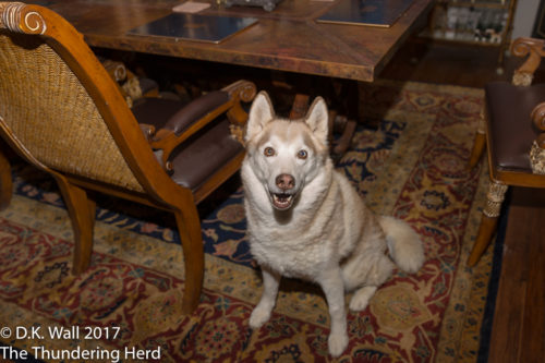 No worries, Hu-Dad, the table is clean now.