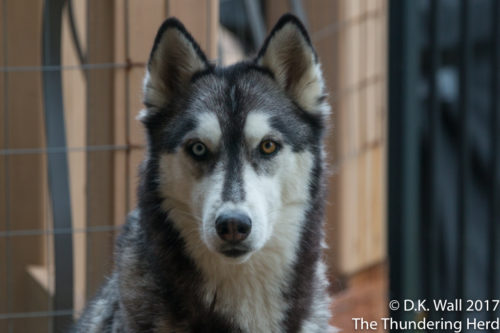 Better happen, Hu-Dad. Not so patiently waiting for snow.