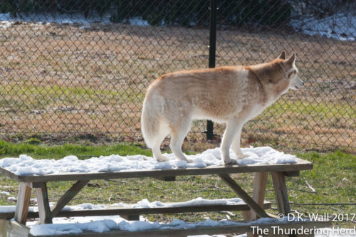 Claiming the picnic table.