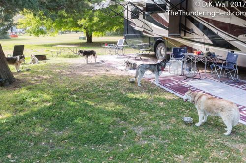 Family hanging out in the campsite.