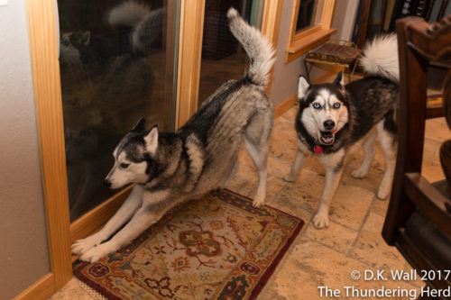 Let's get this door open, Hu-Dad.