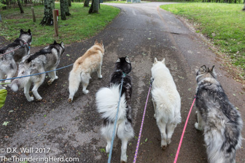 Still walking, just in a different park.