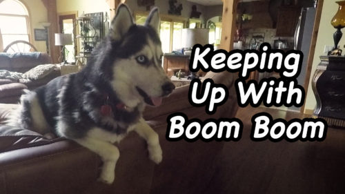 Keeping Up With Boom Boom