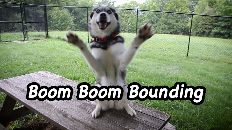 Boom Boom Bounding