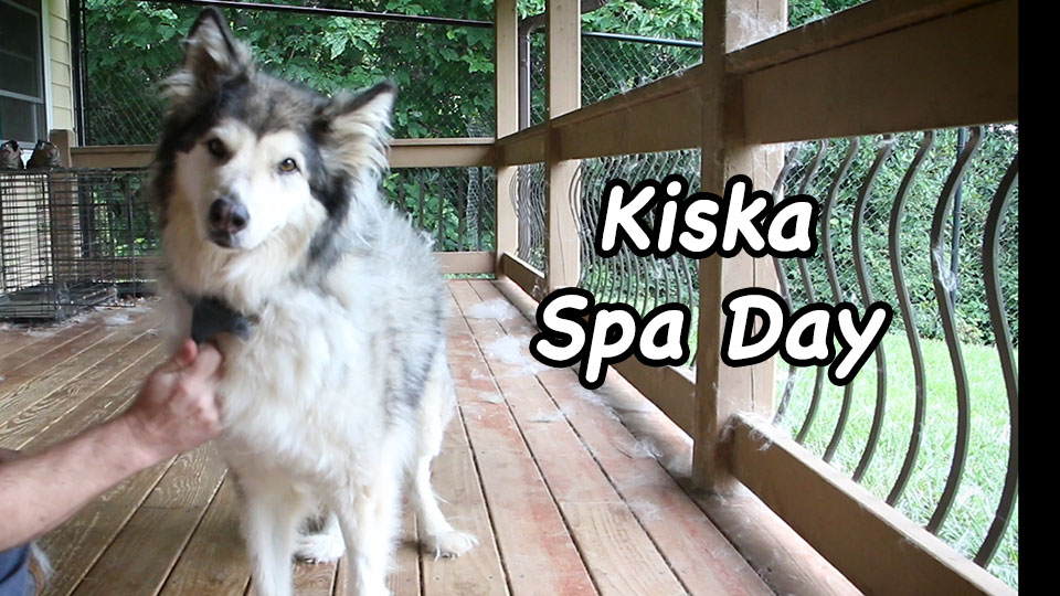 Kiska Spa Day