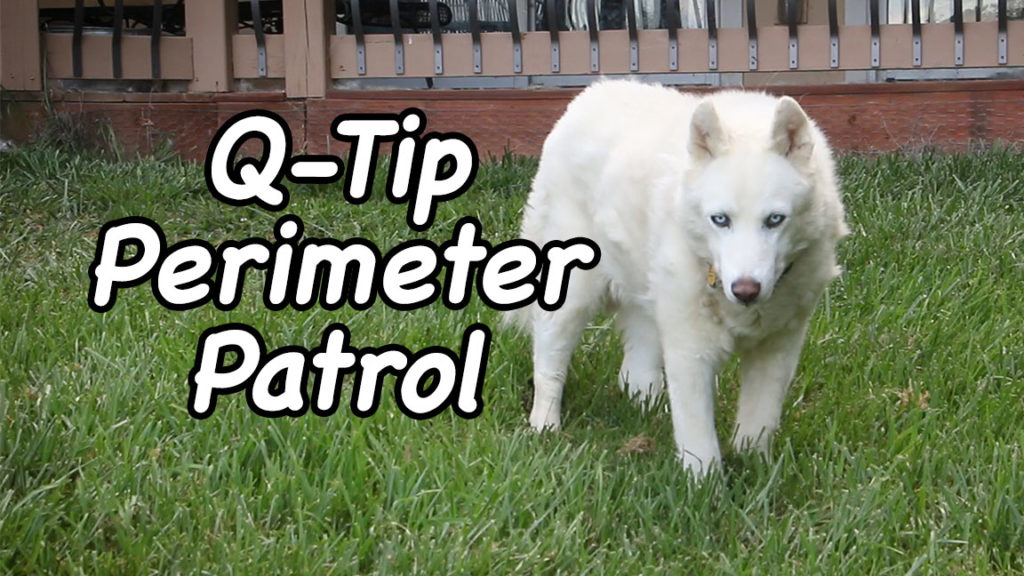 Q-Tip Perimeter Patrol