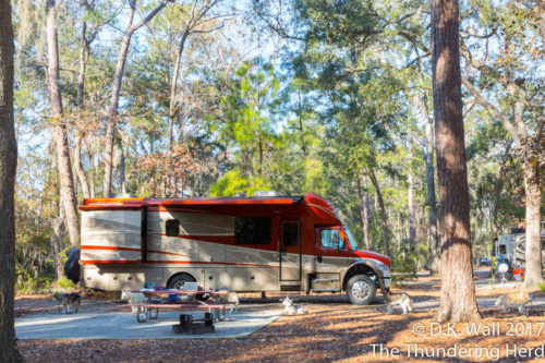 Hanging out in our campsite.