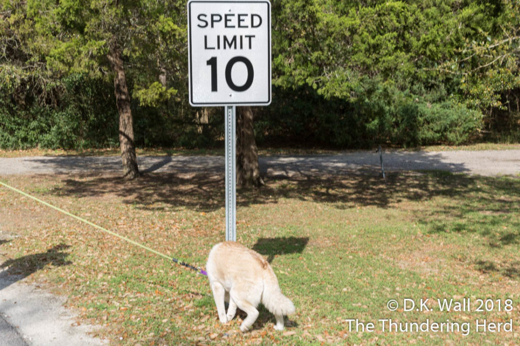 Ten MPH? We can't run that slow.
