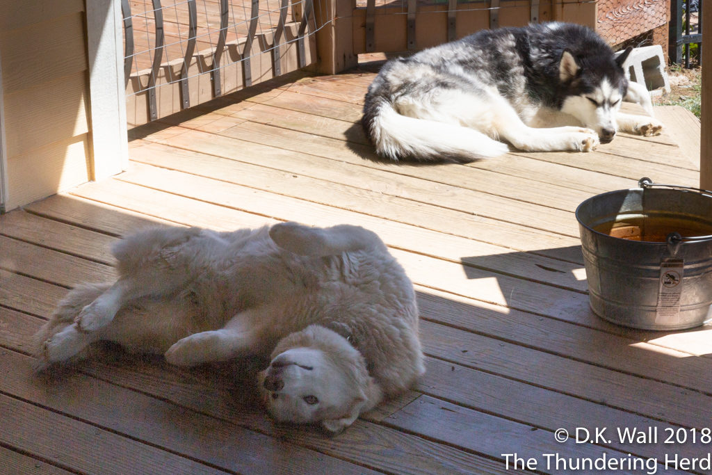 With Spring springing back, we decided to take a Spring nap.