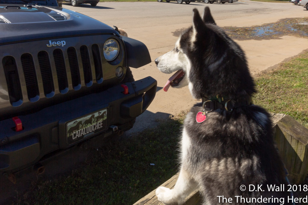 Let's go for a Jeep Ride, Hu-Dad!