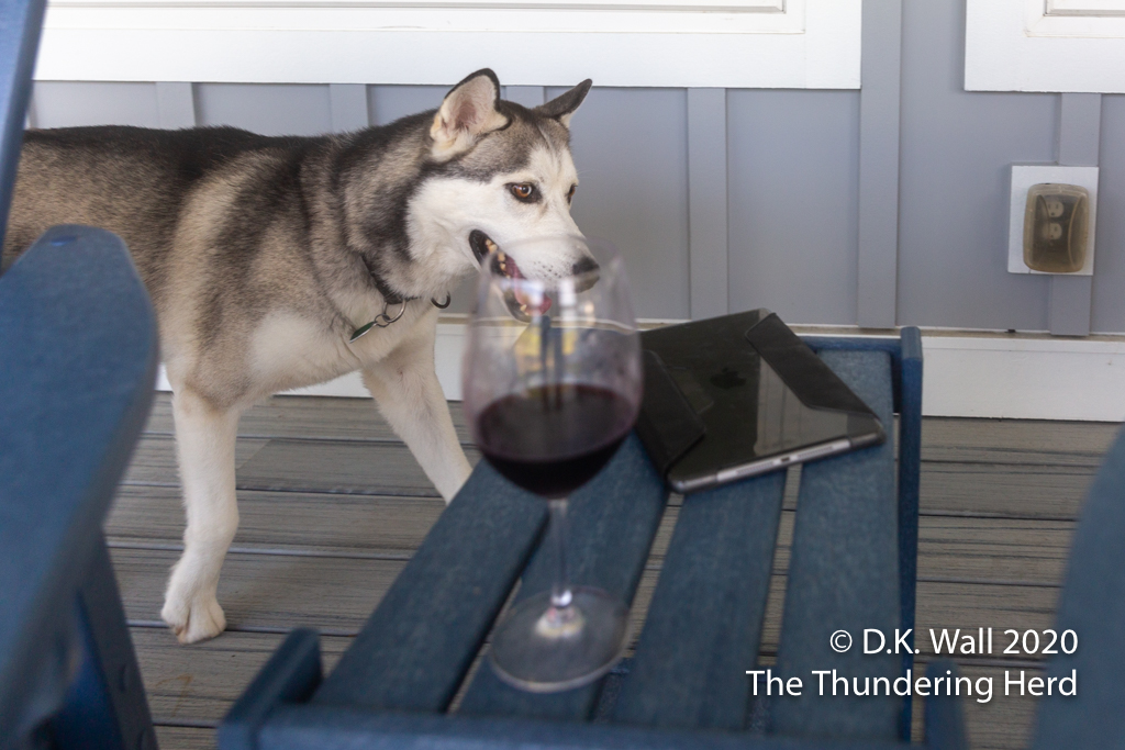 Oh, look. Hu-Dad's glass of wine on the table.