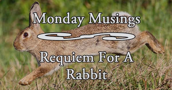 MM Requiem for a Rabbit 191 600