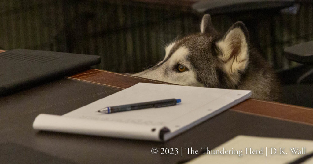 Typhoon checking on Hu-Dad's scribblings - Canine editor