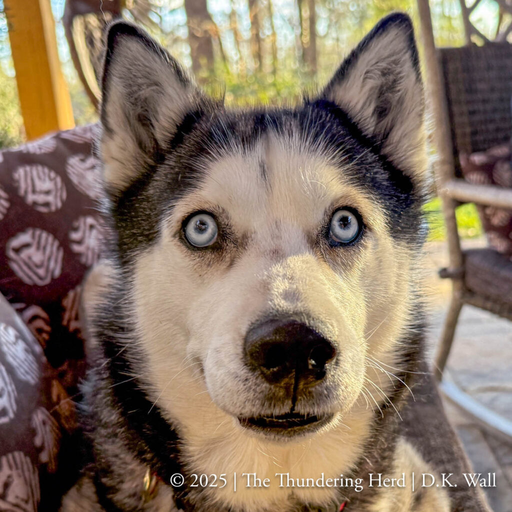 What do you mean this is a goofy smile?